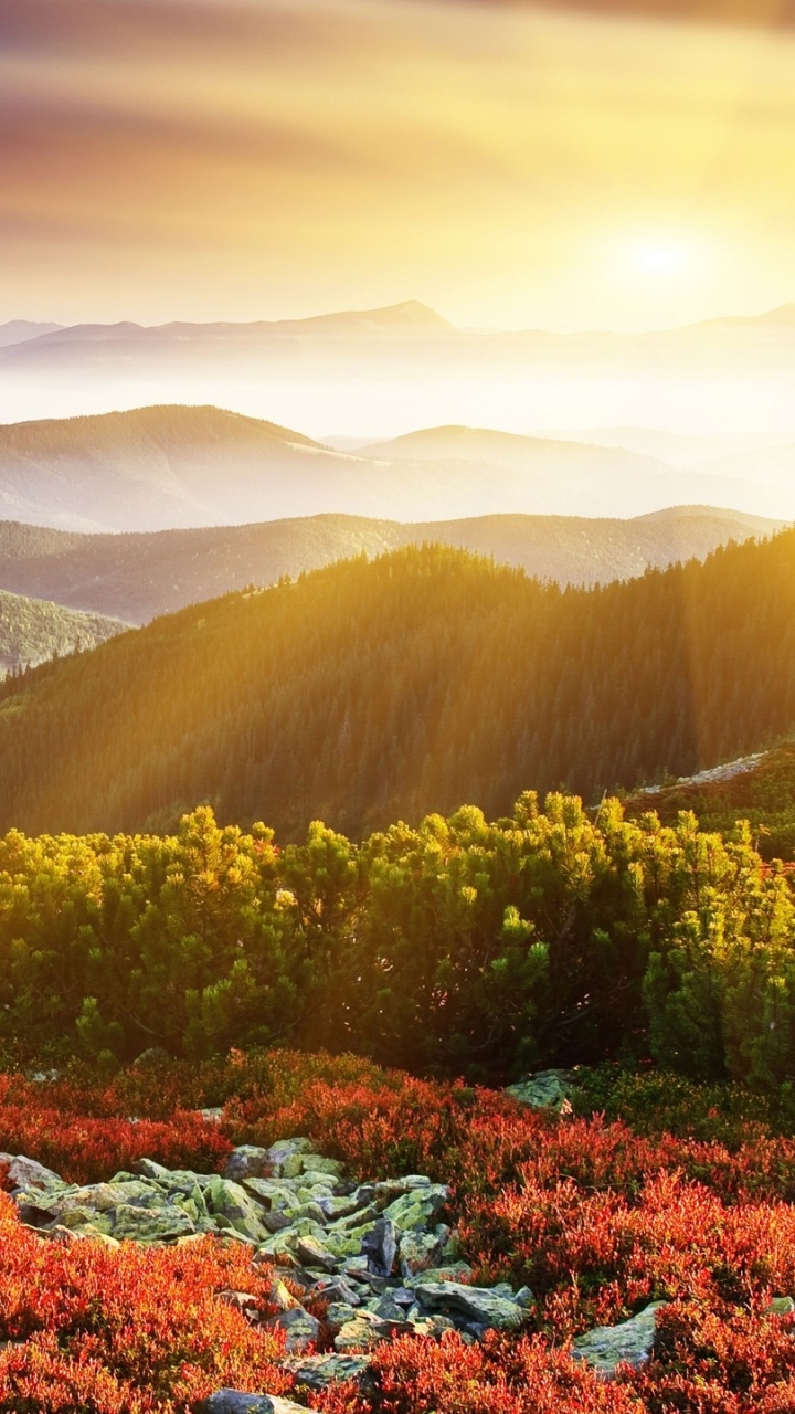 Tagsüber Grüne Bäume Und Berge Unter Blauem Himmel. Wallpaper in 720x1280 Resolution