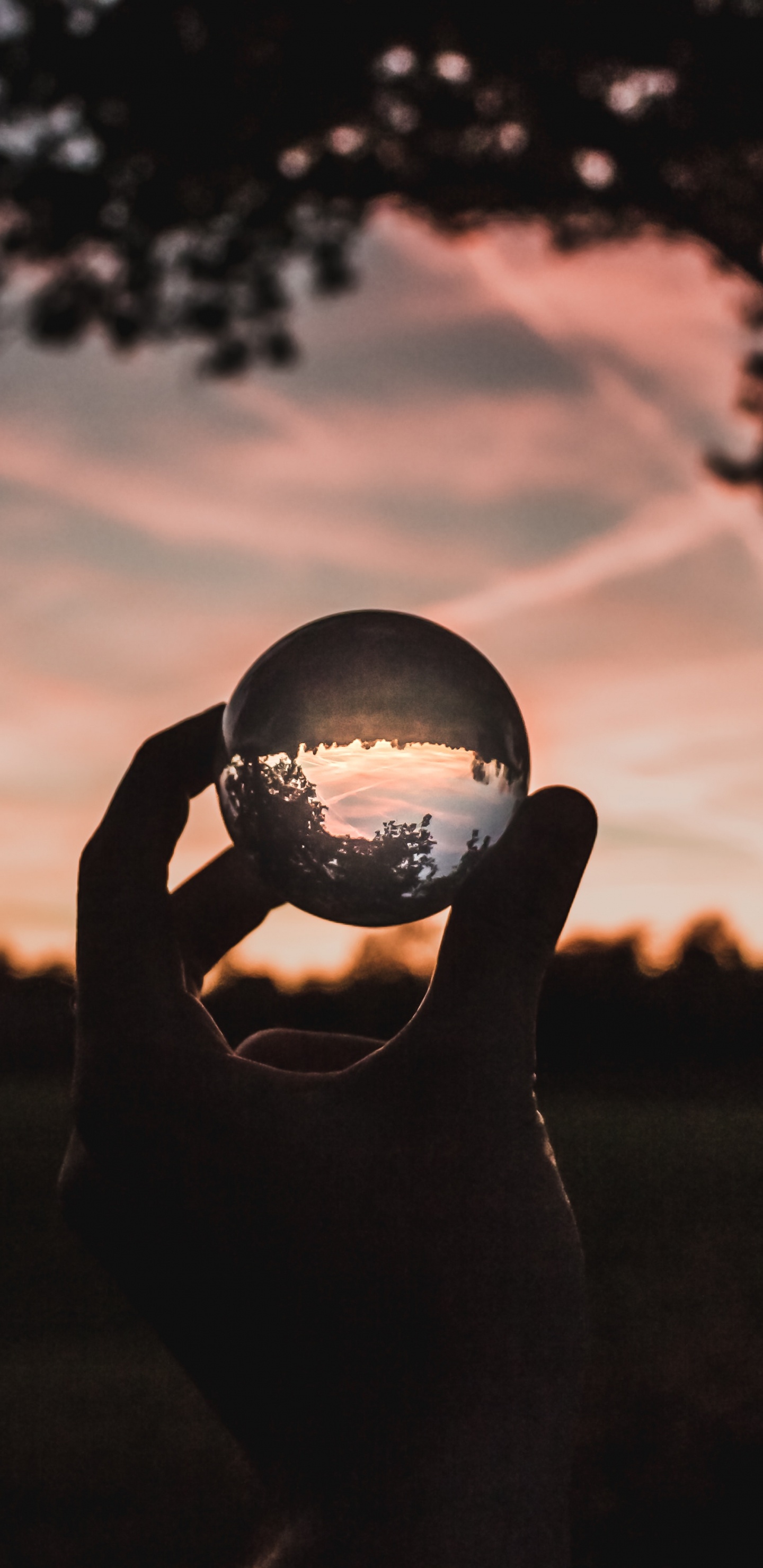 Silhouette of Person Holding Ball During Sunset. Wallpaper in 1440x2960 Resolution