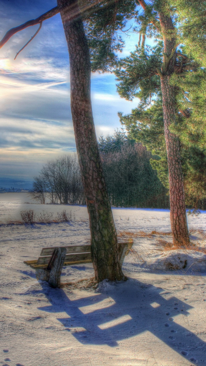 Banc en Bois Marron Près Des Arbres Verts Pendant la Journée. Wallpaper in 720x1280 Resolution