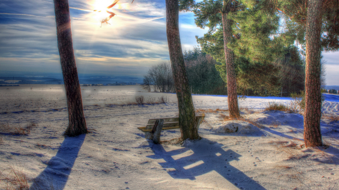 Brown Wooden Bench Near Green Trees During Daytime. Wallpaper in 1366x768 Resolution