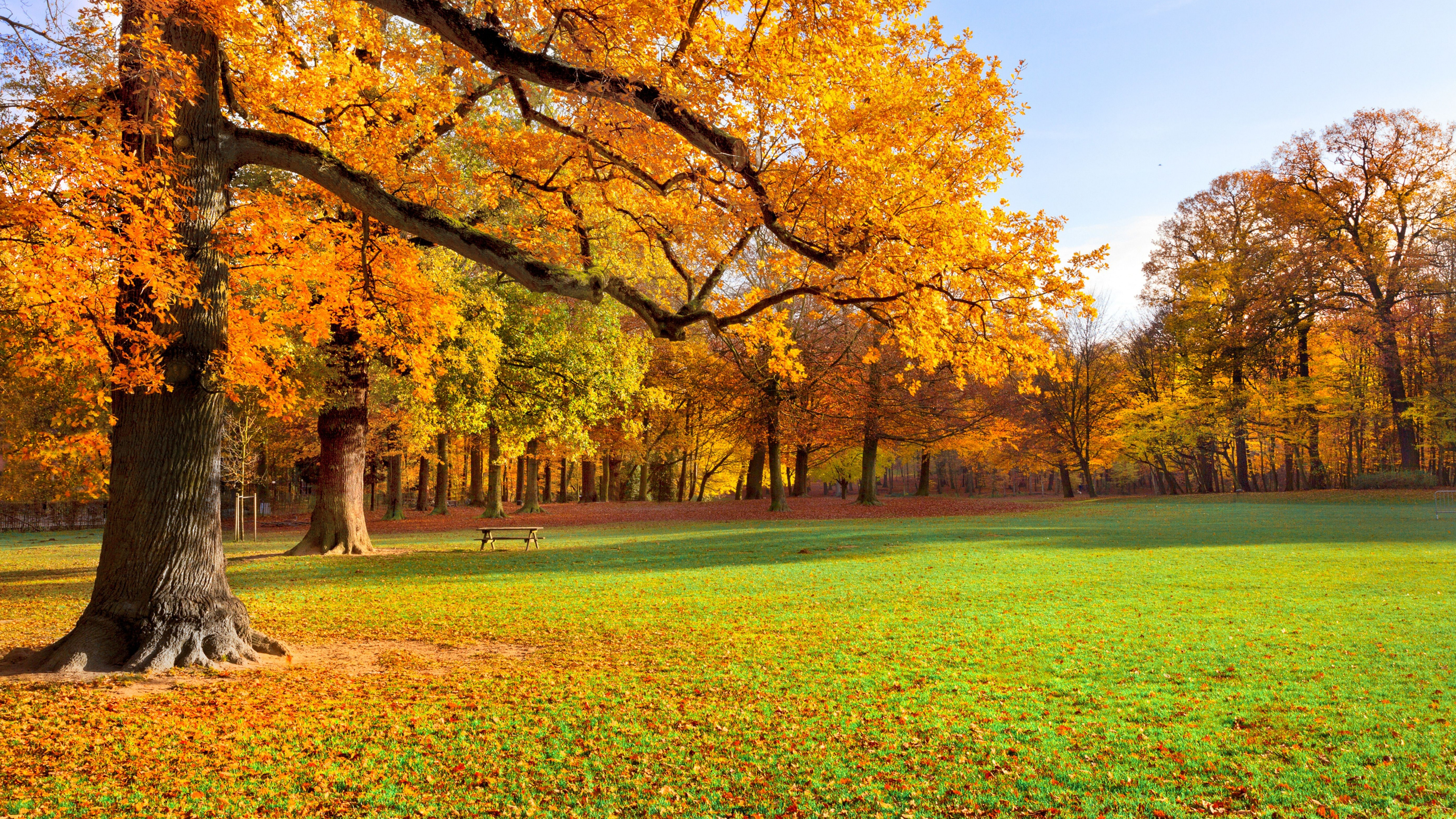 性质, 舞台布景, 阳光, 绘画, 天空 壁纸 3840x2160 允许