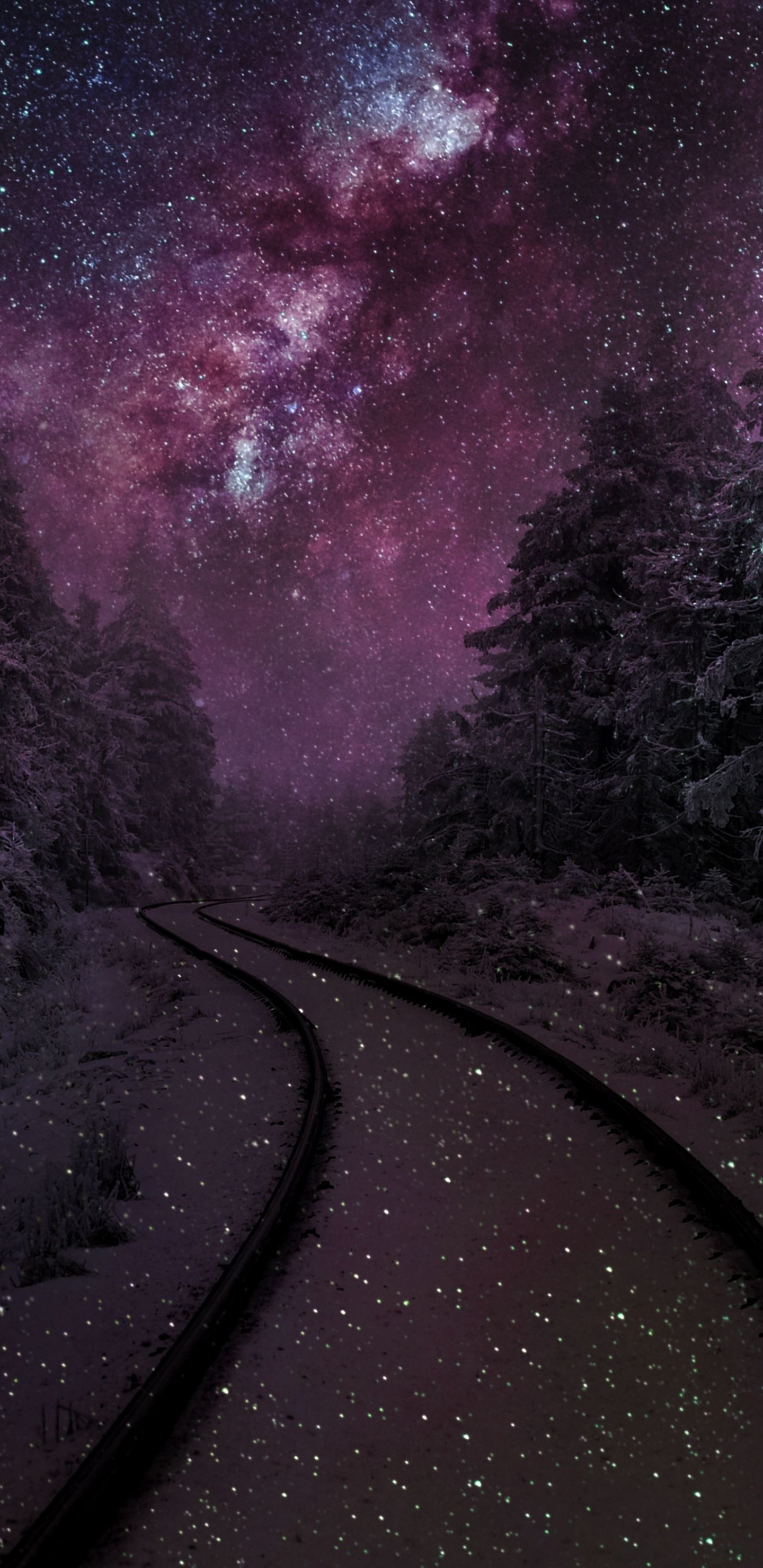 性质, 天文学对象, 天文学, 踪迹, 明星 壁纸 1440x2960 允许