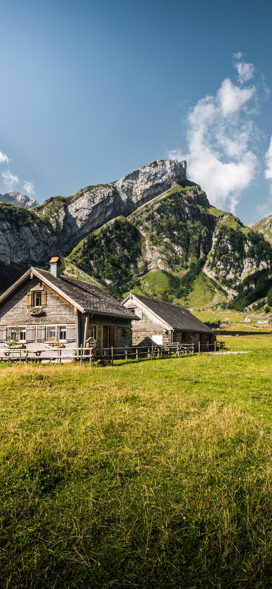 Seealpsee, Inondation D'eau, Green, Paysage Naturel, Highland. Wallpaper in 1125x2436 Resolution