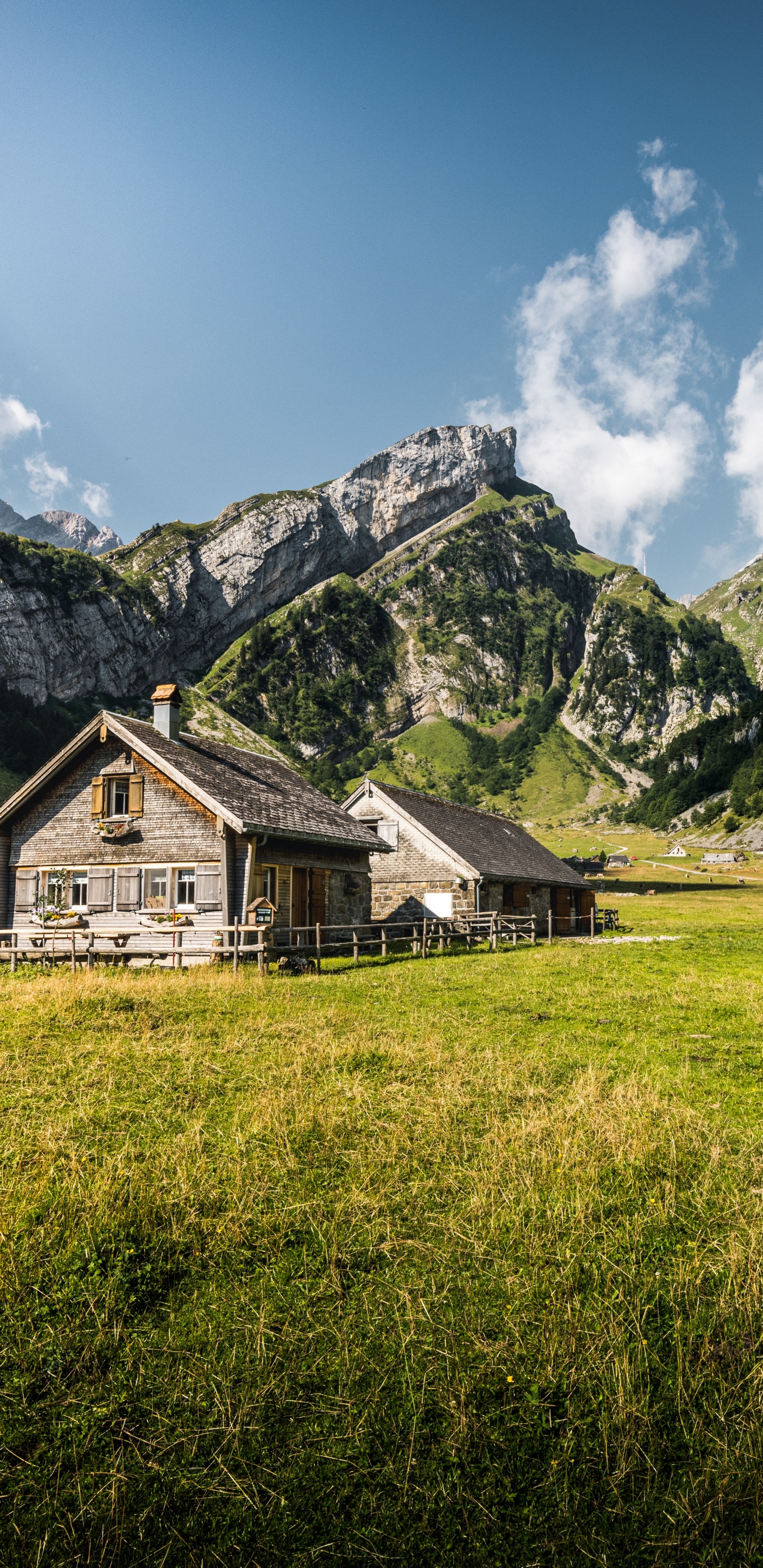 Seealpsee, Inondation D'eau, Green, Paysage Naturel, Highland. Wallpaper in 1440x2960 Resolution