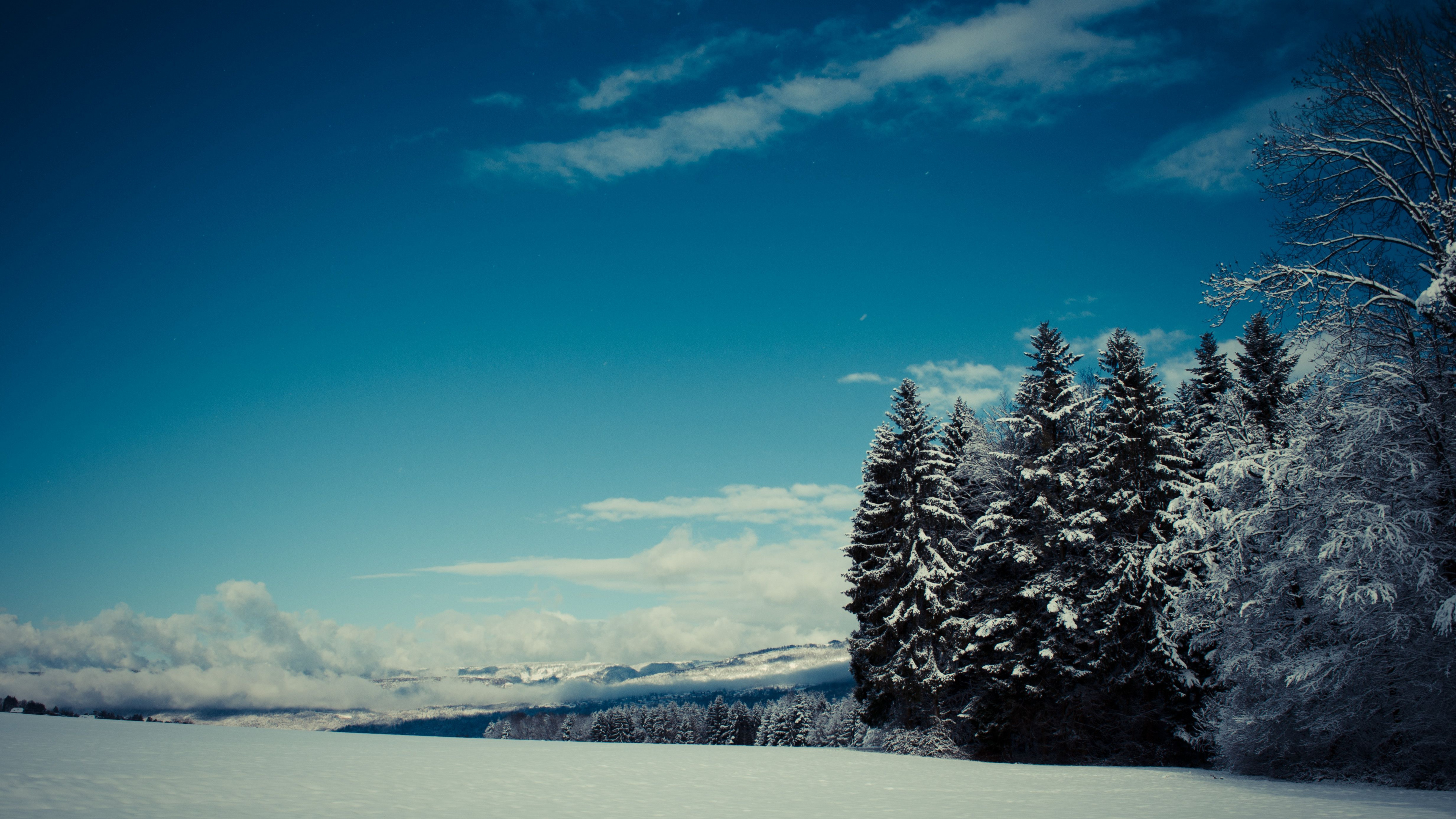 Pin Couvert de Neige Près D'un Plan D'eau Sous un Ciel Bleu Pendant la Journée. Wallpaper in 3840x2160 Resolution