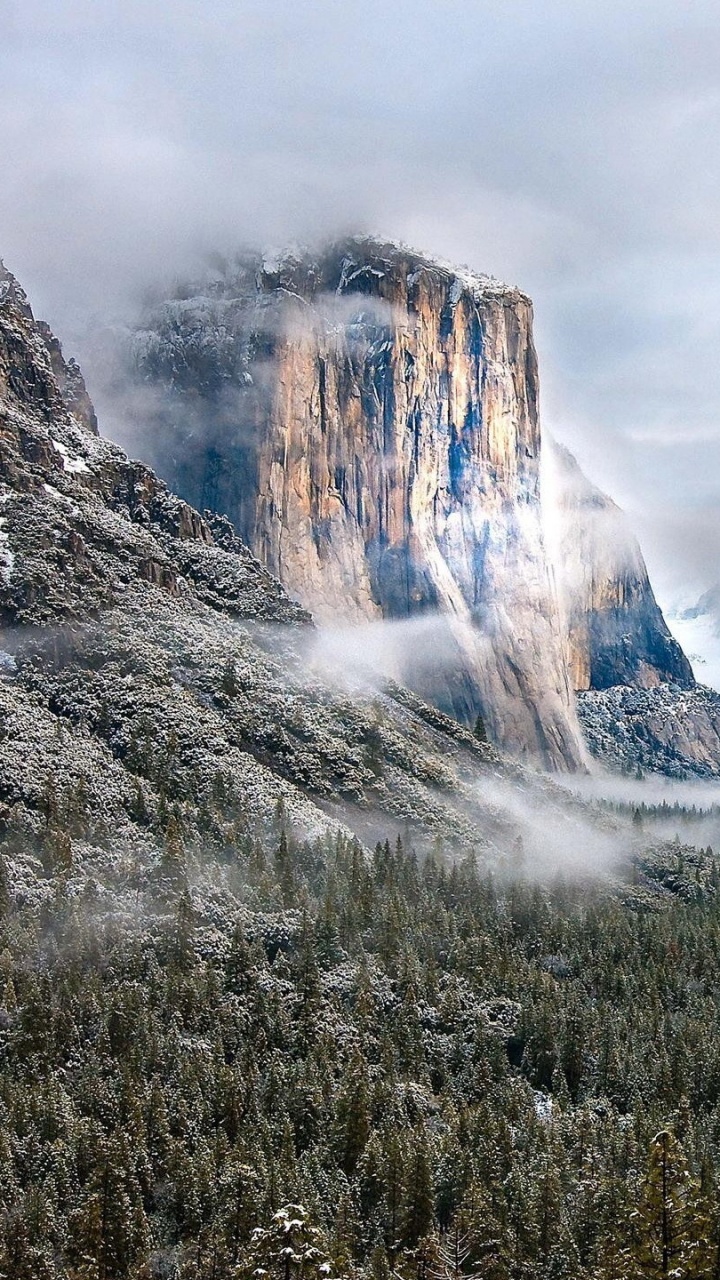 Green Trees Near Snow Covered Mountain During Daytime. Wallpaper in 720x1280 Resolution