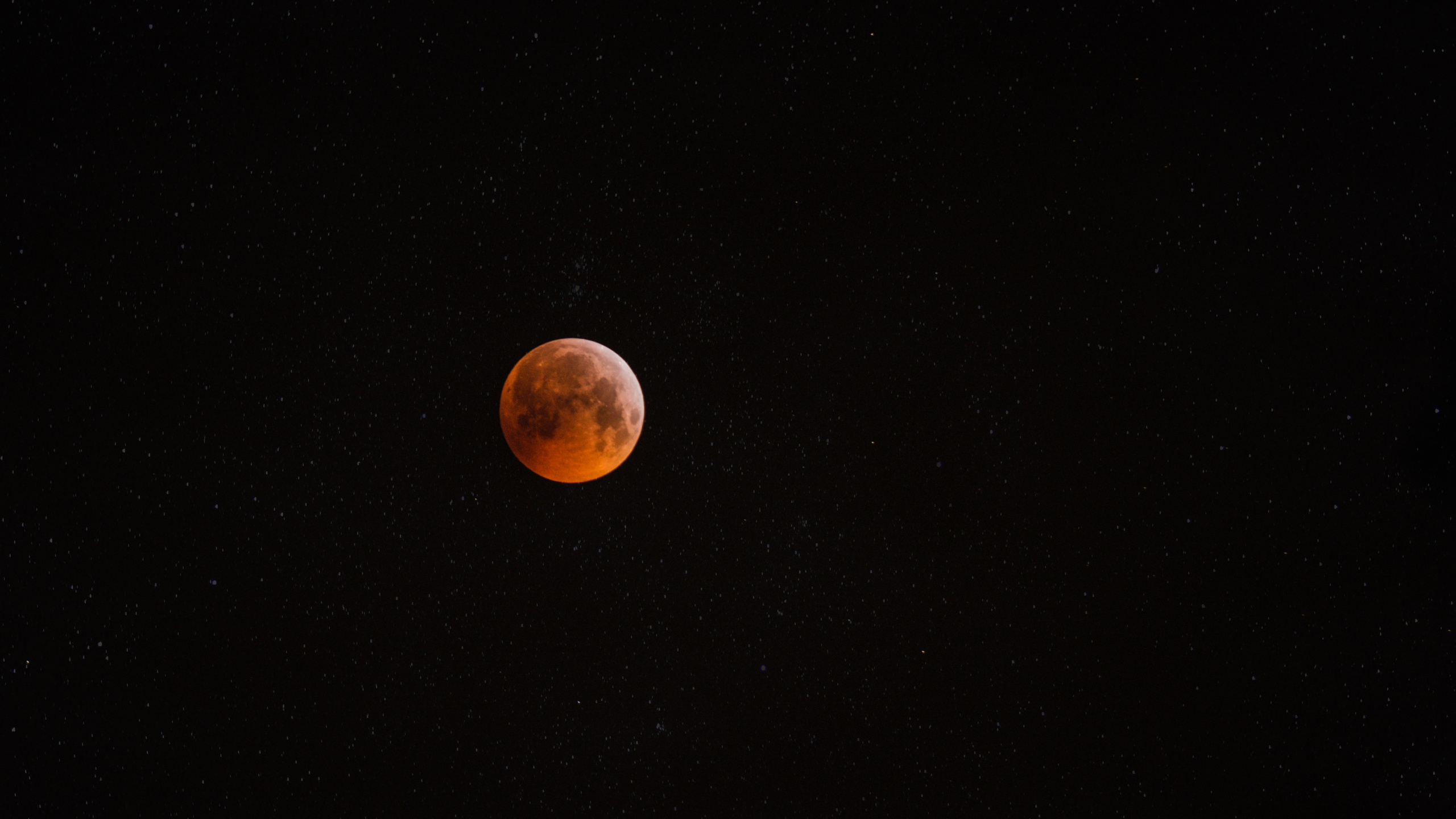 Vollmond am Himmel. Wallpaper in 2560x1440 Resolution