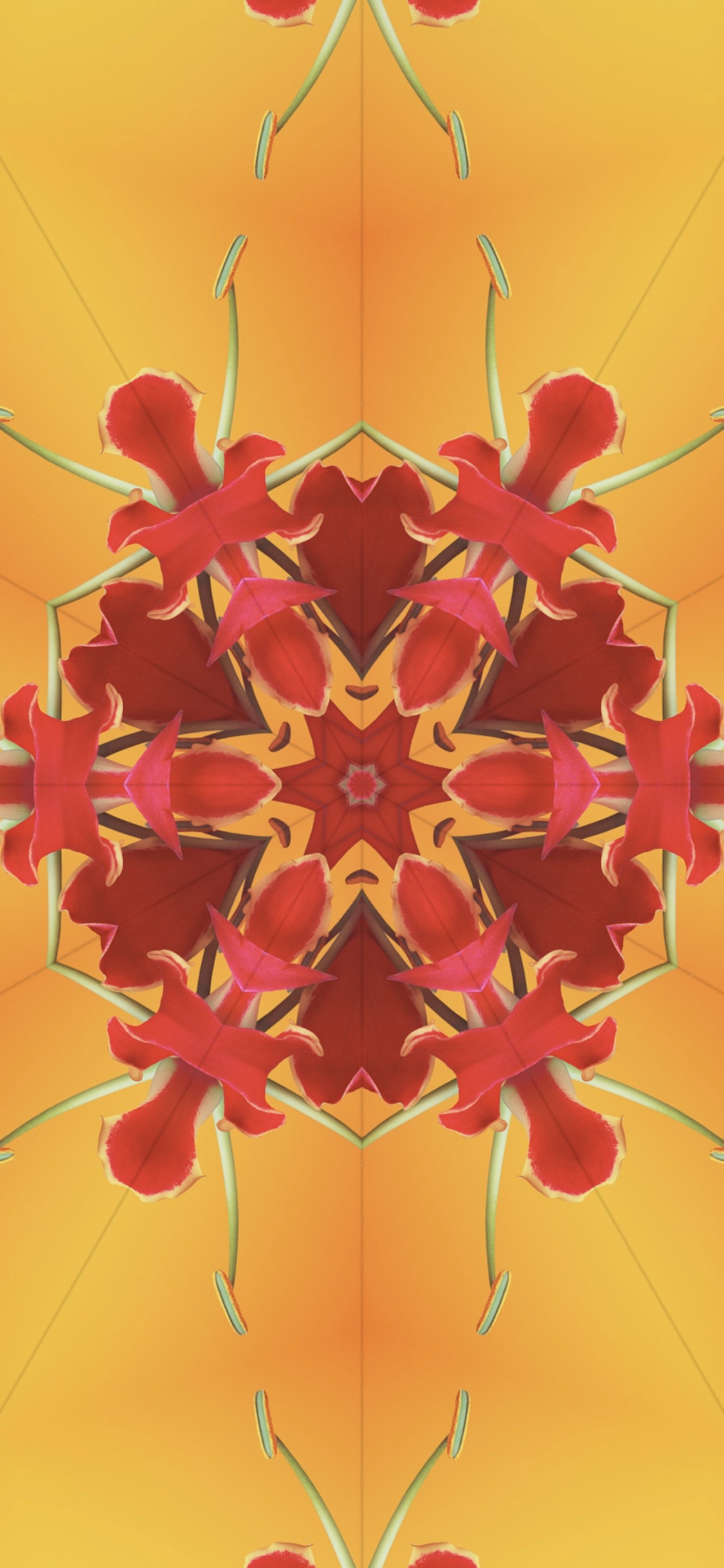 Ios 17, Caleidoscopio Ios 17, Ios, Aclaré, Manzana. Wallpaper in 1125x2436 Resolution