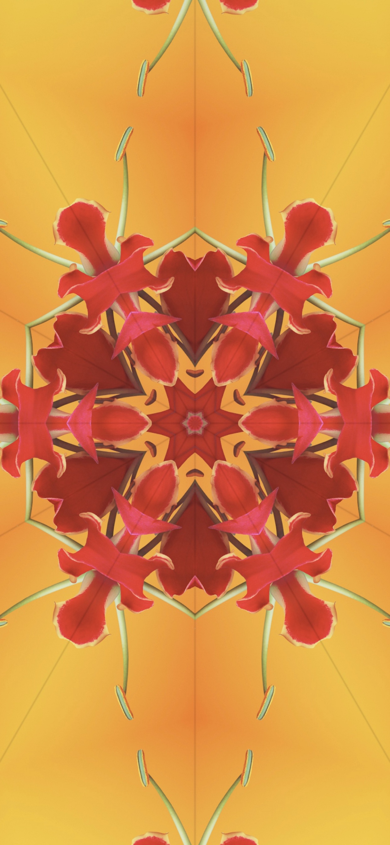 Ios 17, Caleidoscopio Ios 17, Ios, Aclaré, Manzana. Wallpaper in 1242x2688 Resolution