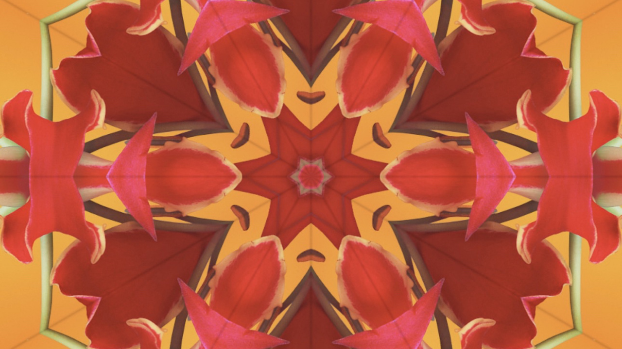 Ios 17, Caleidoscopio Ios 17, Ios, Aclaré, Manzana. Wallpaper in 1280x720 Resolution