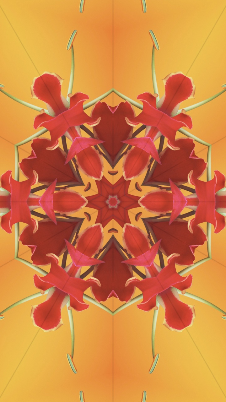 Ios 17, Ios 17 Kaleidoscope, Ios, Iclarified, Apples. Wallpaper in 720x1280 Resolution