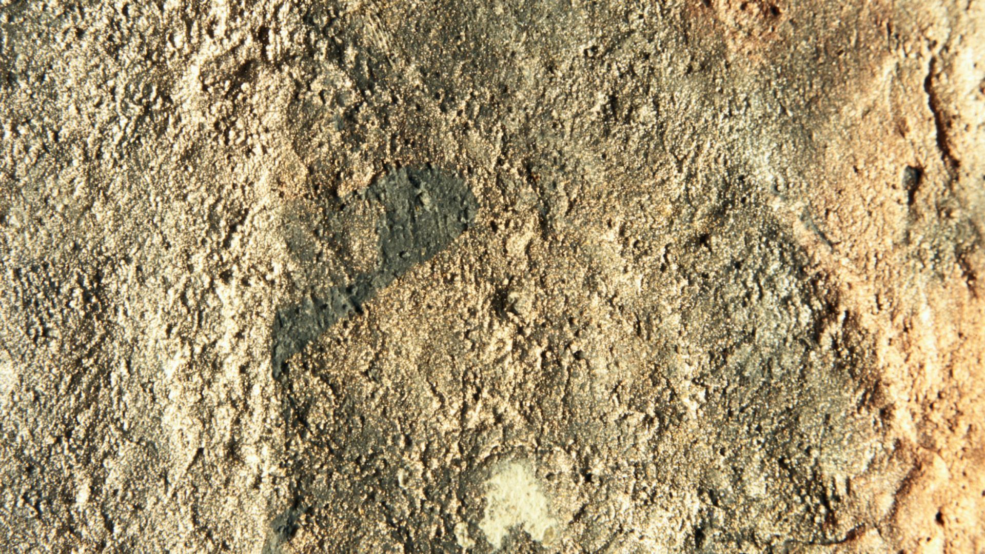 Brown and Black Dirt Ground. Wallpaper in 1920x1080 Resolution