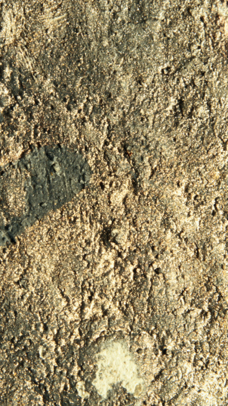Brown and Black Dirt Ground. Wallpaper in 750x1334 Resolution