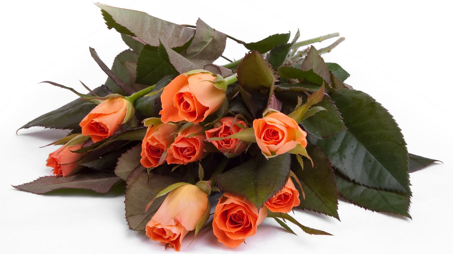 Red and Yellow Roses on White Surface. Wallpaper in 1920x1080 Resolution