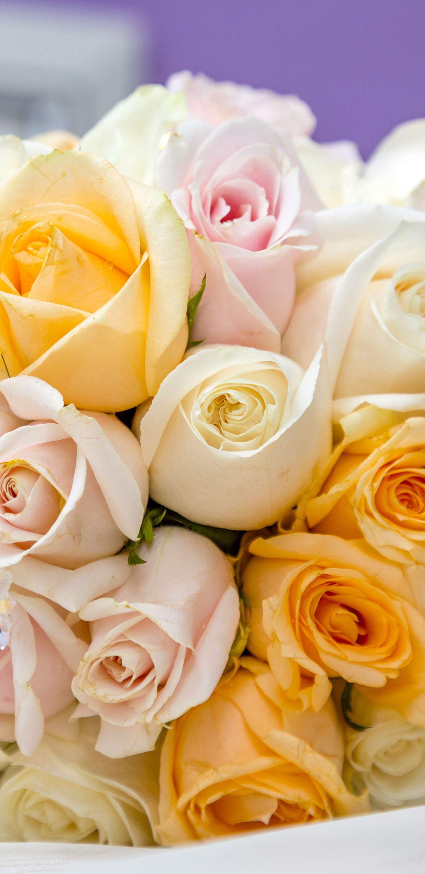 Bouquet de Fleurs, Roses, Bouquet, Les Fleurs Coupées, Les Roses de Jardin. Wallpaper in 1440x2960 Resolution