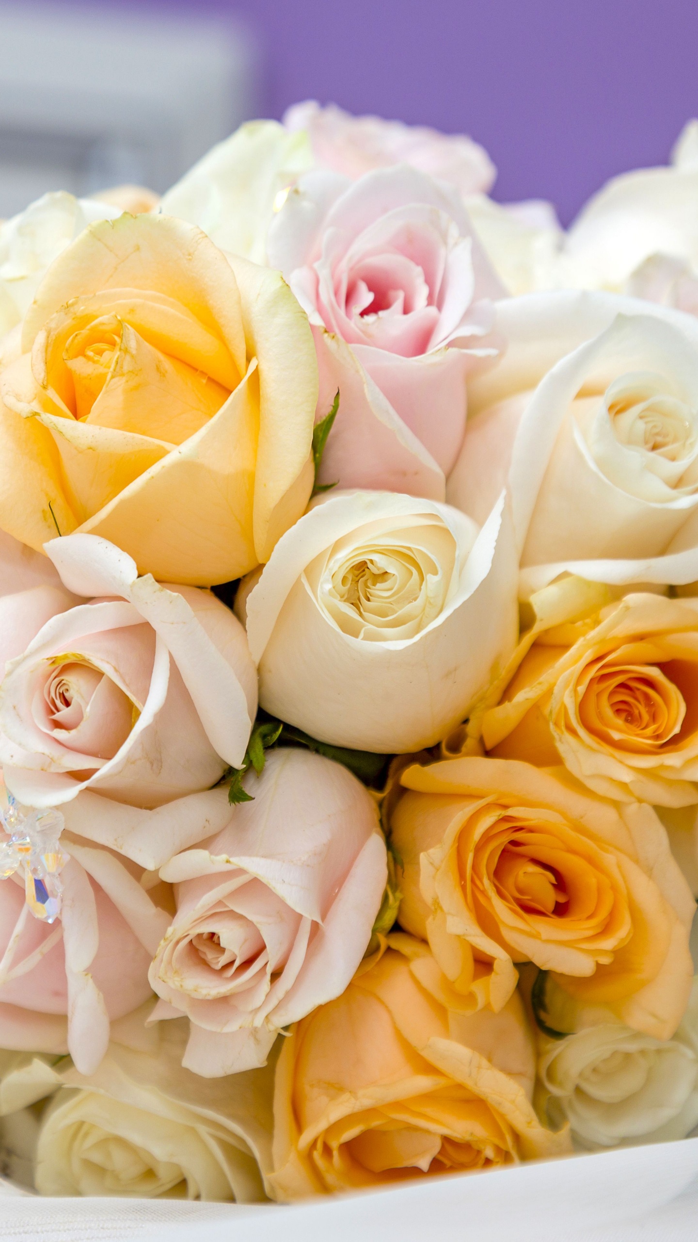 Rose, Braut, Geburtstag, Blumenstrauss, Schnittblumen. Wallpaper in 1440x2560 Resolution