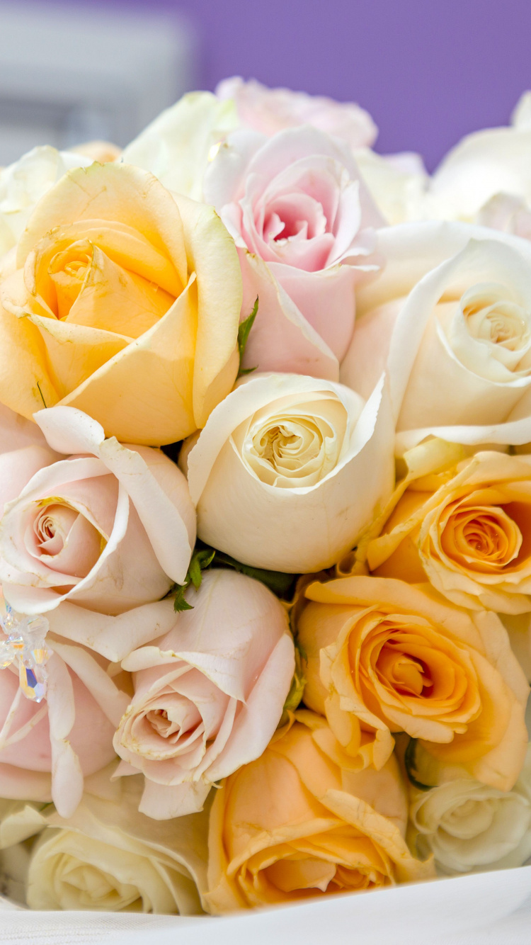 Rose, Braut, Geburtstag, Blumenstrauss, Schnittblumen. Wallpaper in 750x1334 Resolution