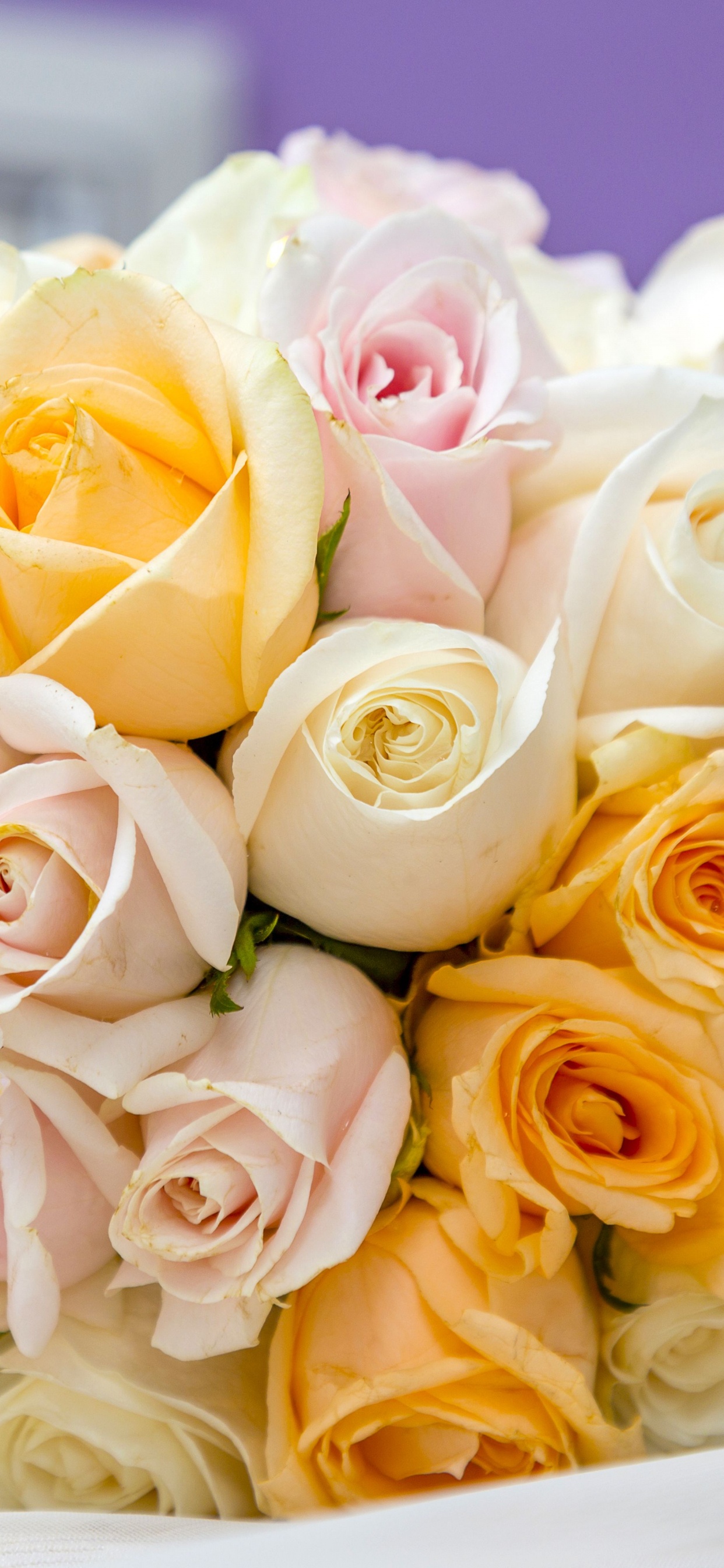 Flower Bouquet, Flower, Rose, Wedding, Bride. Wallpaper in 1242x2688 Resolution