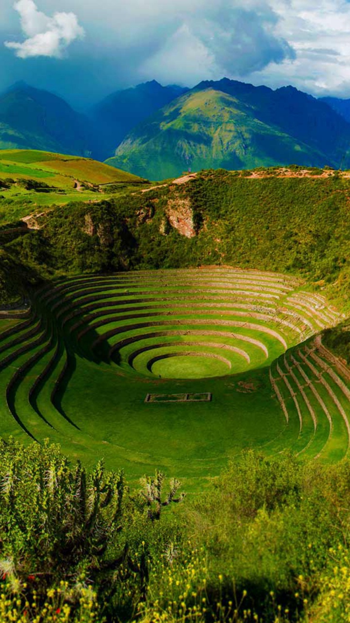 马丘比丘, 高地, 植被, 安装的风景, 自然保护区 壁纸 720x1280 允许