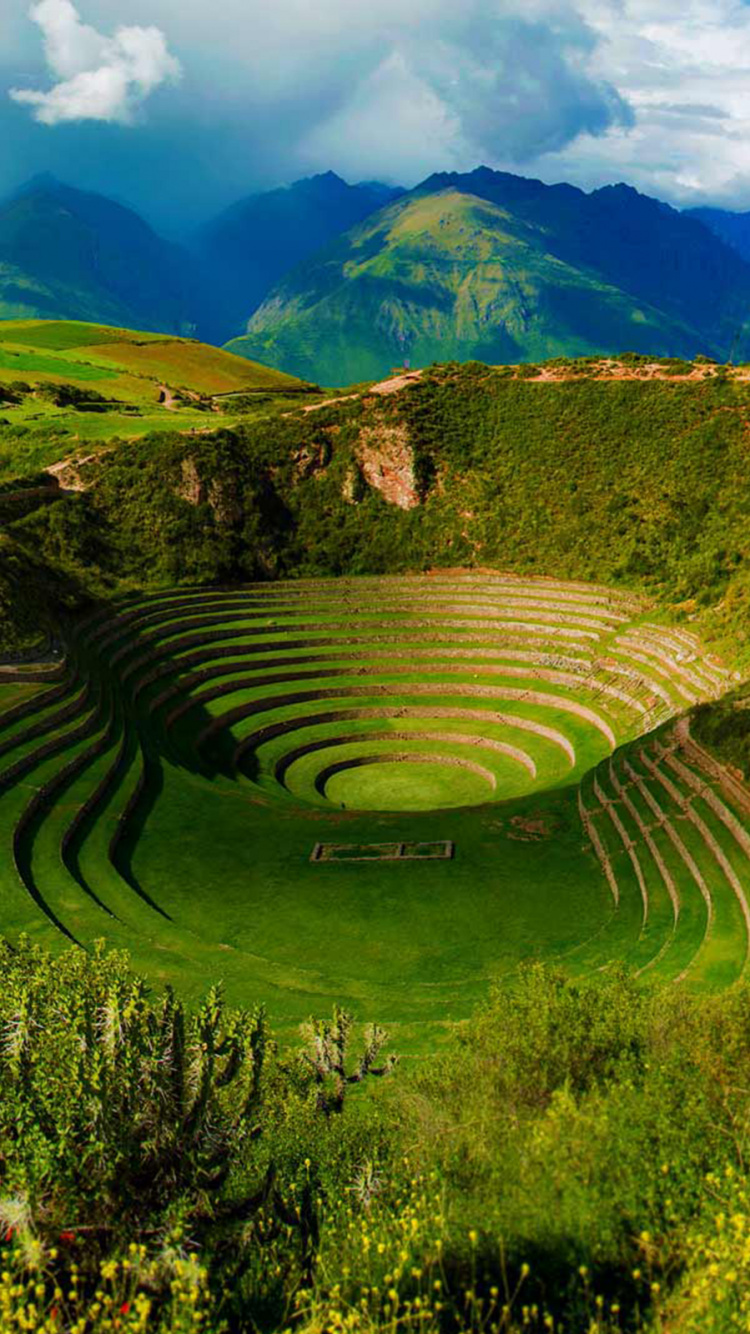 马丘比丘, 高地, 植被, 安装的风景, 自然保护区 壁纸 750x1334 允许