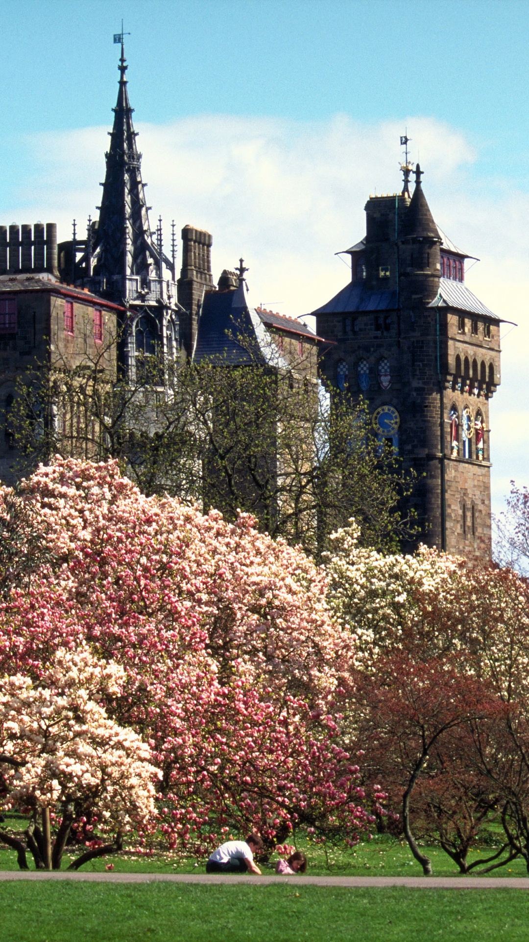 Braunes Und Schwarzes Betongebäude in Der Nähe Von Bäumen Tagsüber. Wallpaper in 1080x1920 Resolution