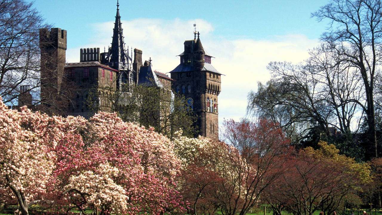 Bâtiment en Béton Brun et Noir Près Des Arbres Pendant la Journée. Wallpaper in 1280x720 Resolution
