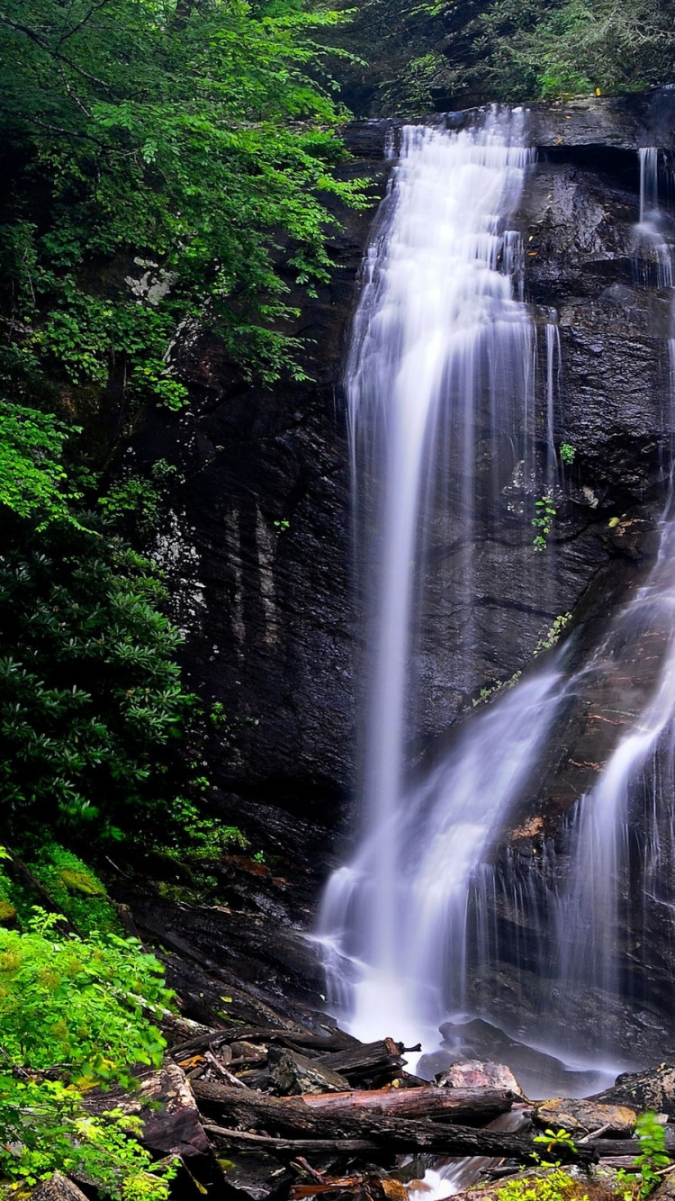 Wasserfälle im Wald Tagsüber. Wallpaper in 750x1334 Resolution