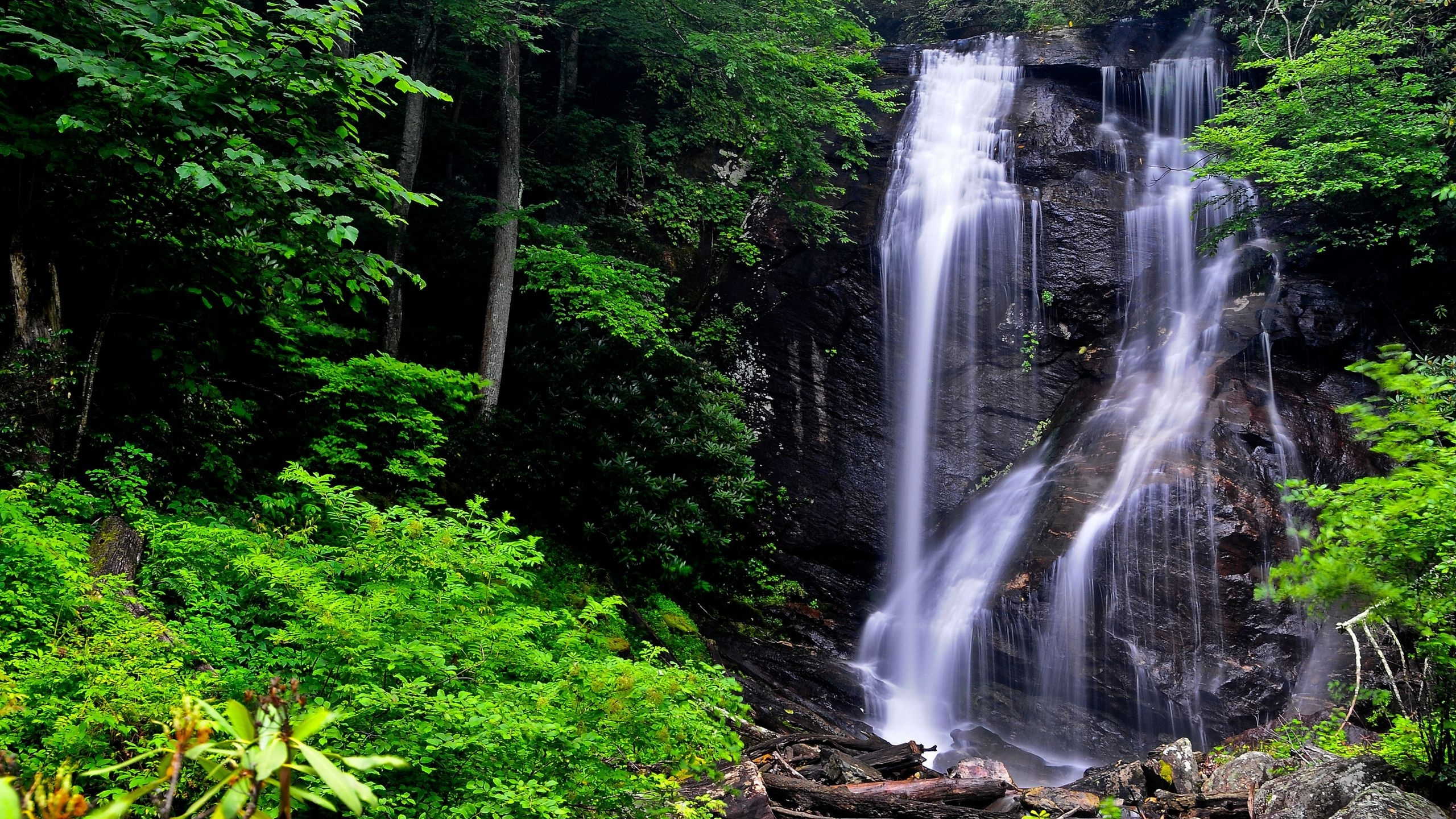 Waterfalls in Forest During Daytime. Wallpaper in 2560x1440 Resolution