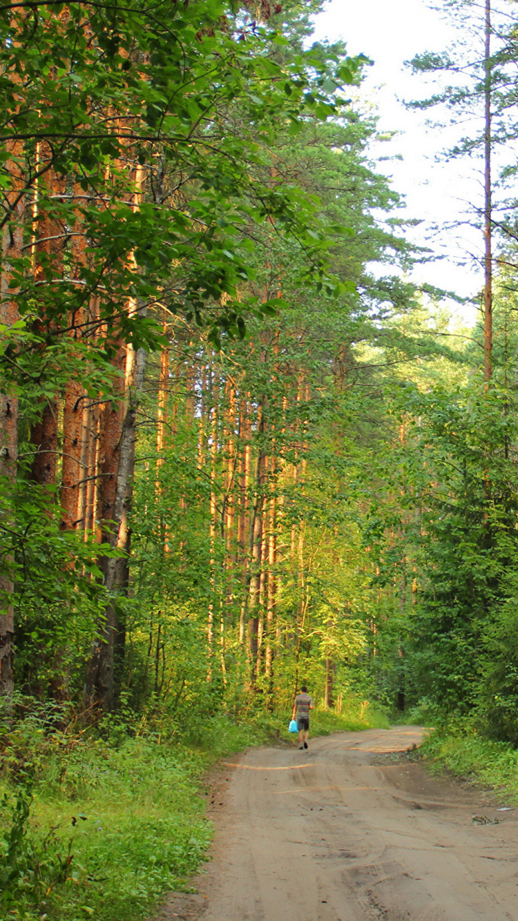 Person in Schwarzer Jacke, Die Tagsüber Auf Einem Weg Zwischen Bäumen Geht. Wallpaper in 750x1334 Resolution