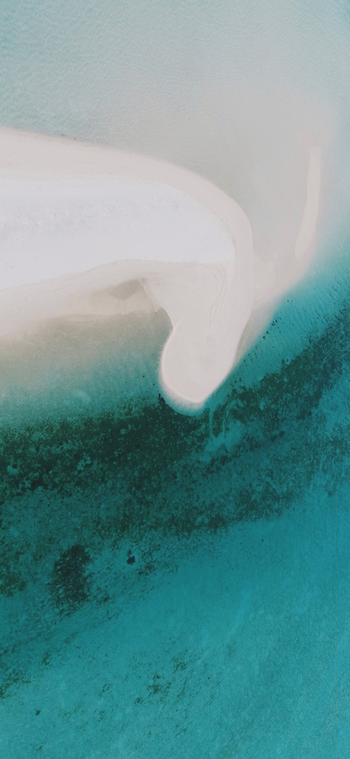 Costa, Mar, Oceano, Agua, Azul. Wallpaper in 1125x2436 Resolution