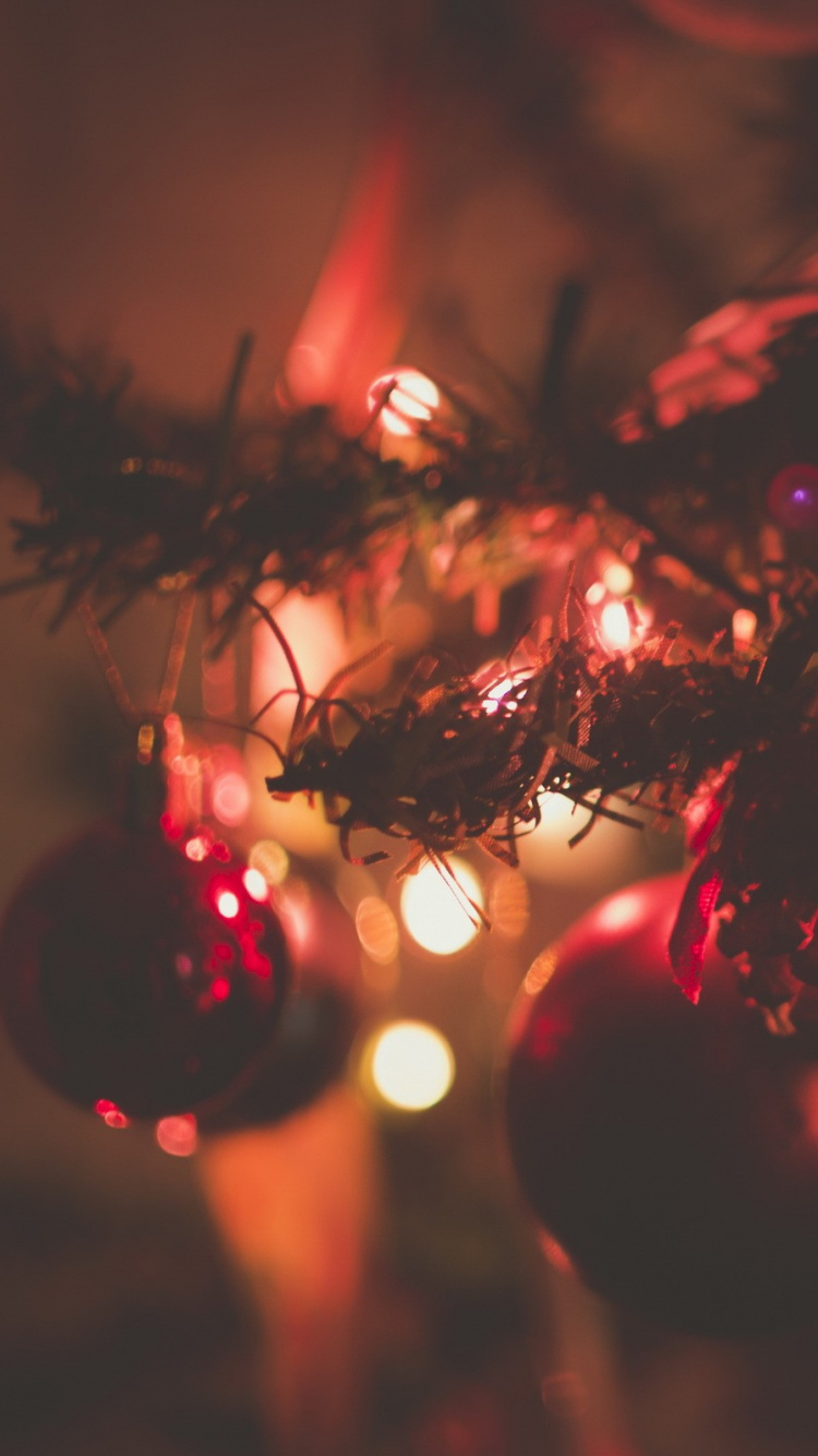 Weihnachtsbeleuchtung, Weihnachten, Weihnachtsmann, Weihnachtsdekoration, Baum. Wallpaper in 750x1334 Resolution