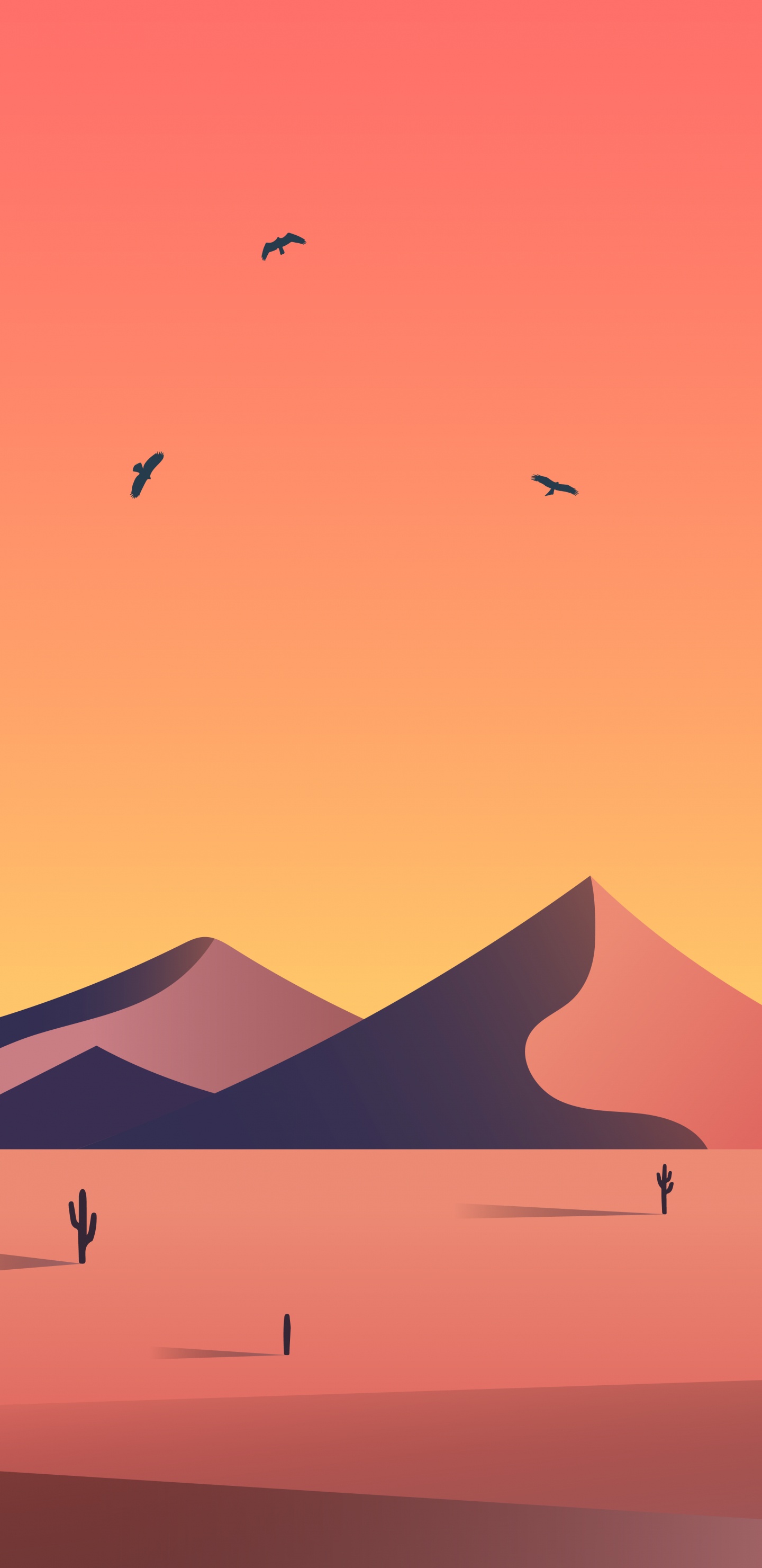 Ecorregión, Ave, Naturaleza, Pendiente, Naranja. Wallpaper in 1440x2960 Resolution