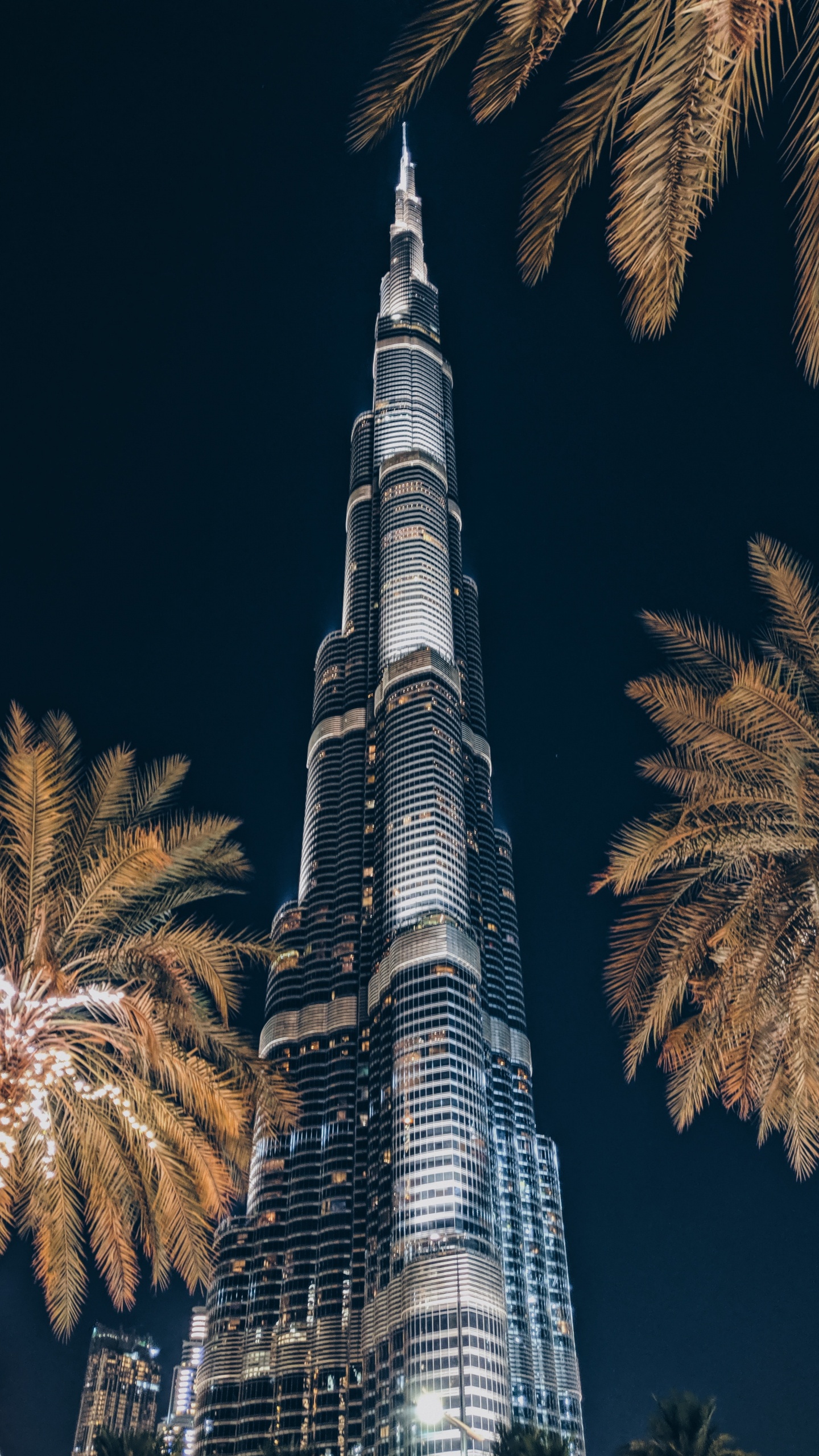 Tour Grise et Noire Pendant la Nuit. Wallpaper in 1440x2560 Resolution