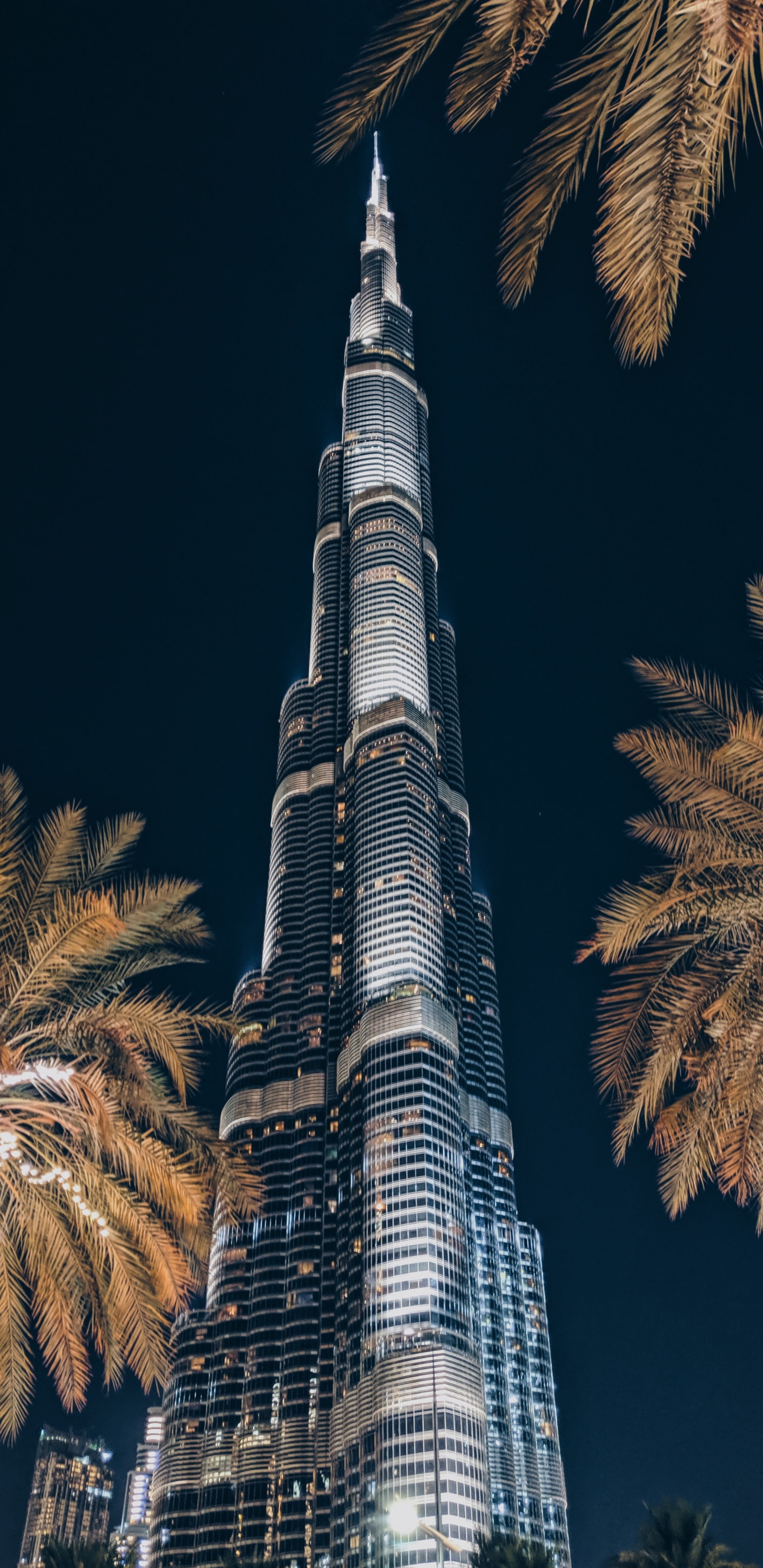 Gray and Black Tower During Night Time. Wallpaper in 1440x2960 Resolution