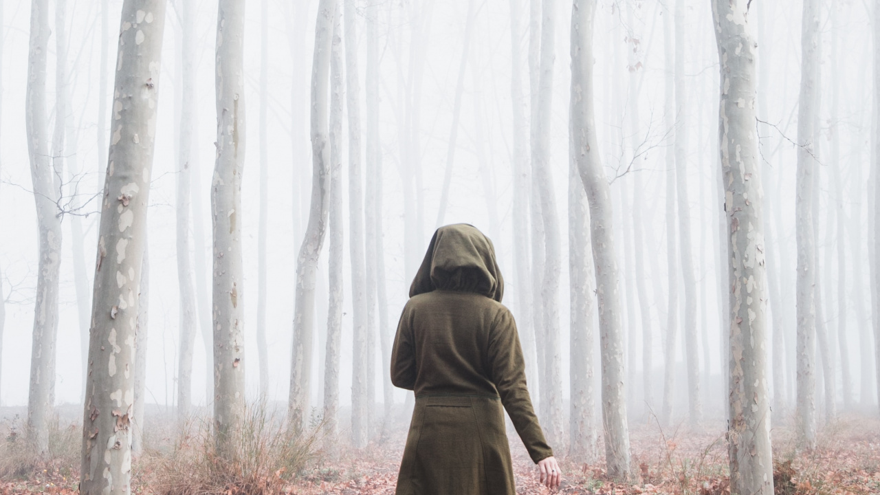 Fog, Forest, Branch, Natural Environment, Winter. Wallpaper in 1280x720 Resolution