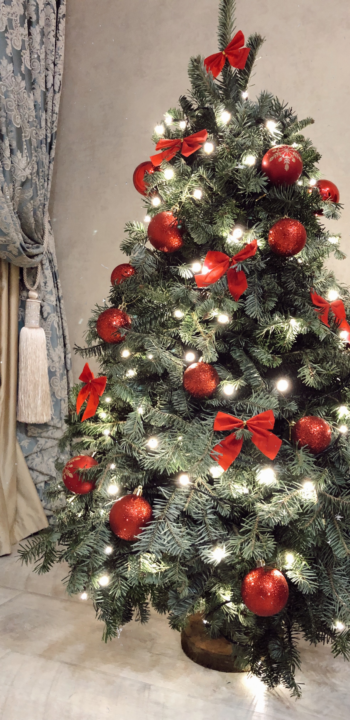 Weihnachtsbaum, Weihnachten, Fichte, Weihnachtsdekoration, Innenarchitektur. Wallpaper in 1440x2960 Resolution