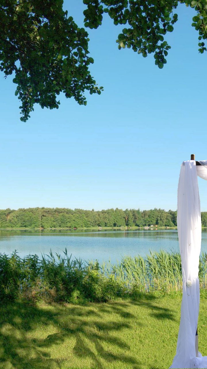 White Hammock Hanged on Tree Near Body of Water During Daytime. Wallpaper in 720x1280 Resolution