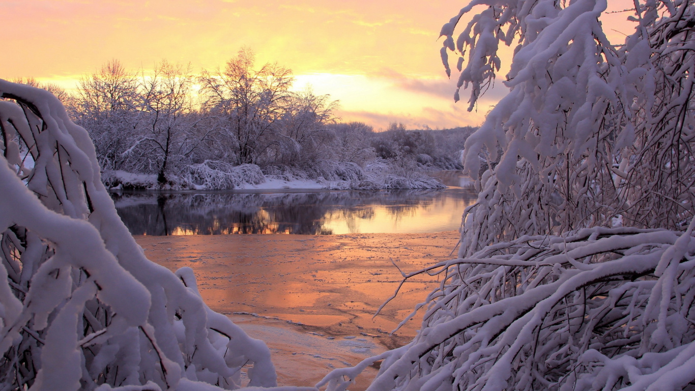 Snow Covered Trees Near Body of Water During Daytime. Wallpaper in 1366x768 Resolution