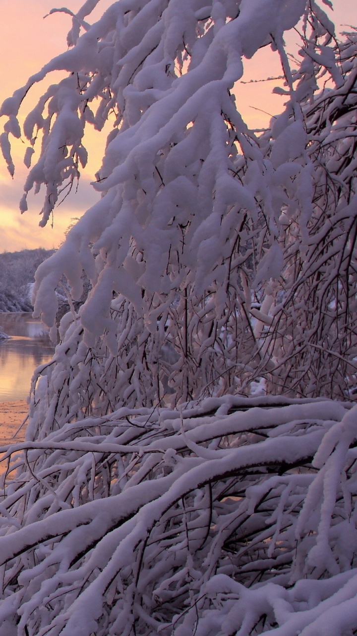 Snow Covered Trees Near Body of Water During Daytime. Wallpaper in 720x1280 Resolution