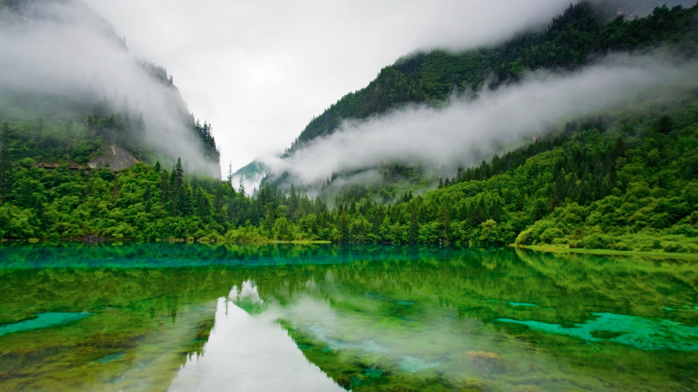 Grüne Bäume Neben Dem Fluss Unter Weißem Himmel Tagsüber Sky. Wallpaper in 1366x768 Resolution