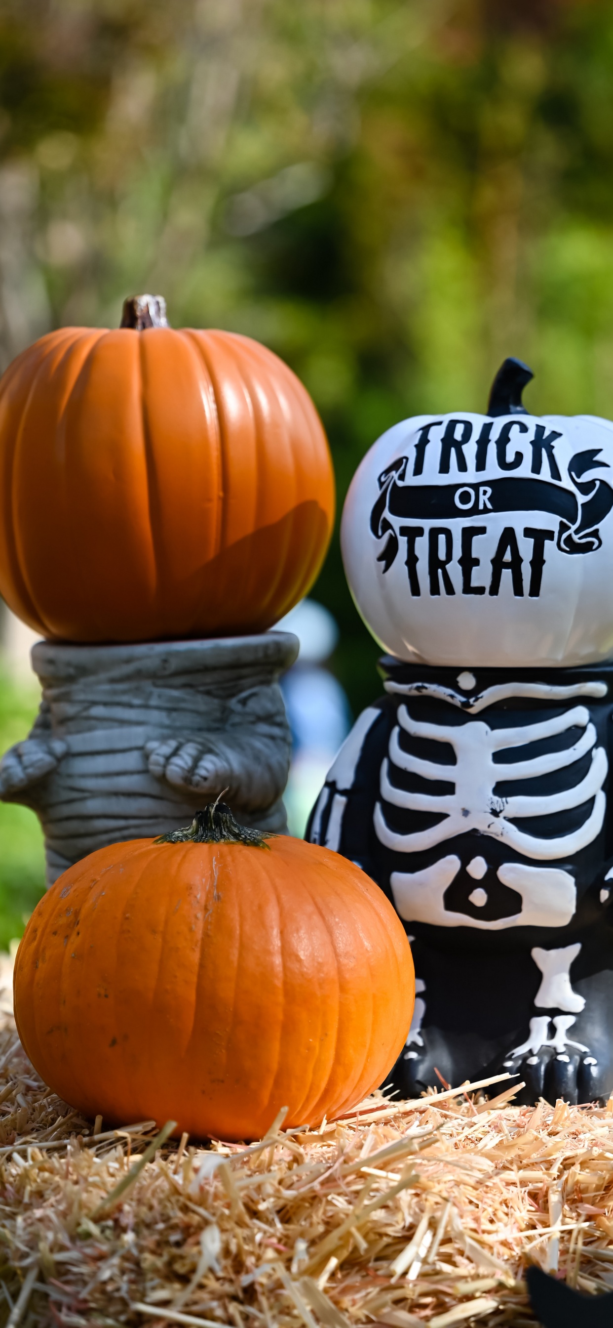 Halloween, Aesthetic Halloween, Costume, Halloween Costume, Party. Wallpaper in 1242x2688 Resolution