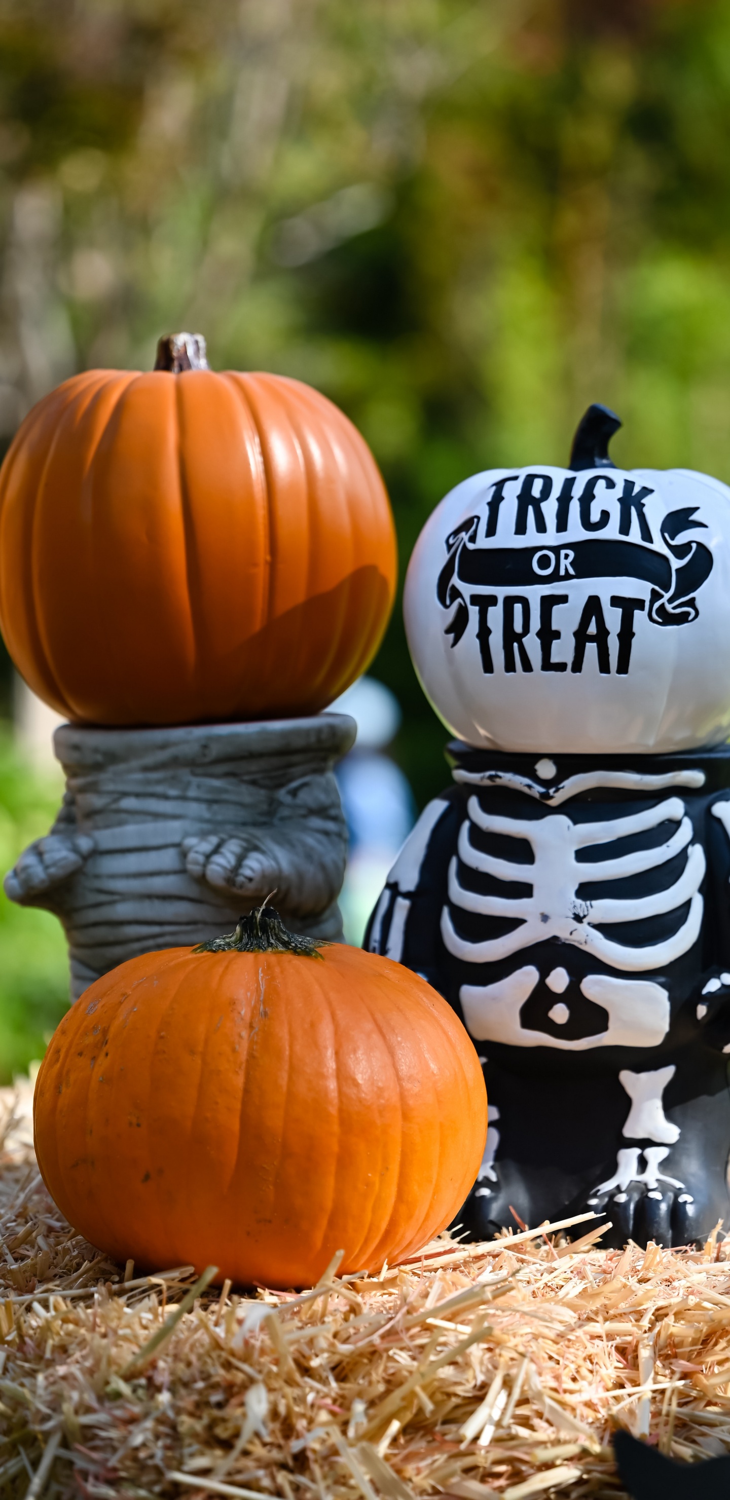 Halloween, Aesthetic Halloween, Costume, Halloween Costume, Party. Wallpaper in 1440x2960 Resolution