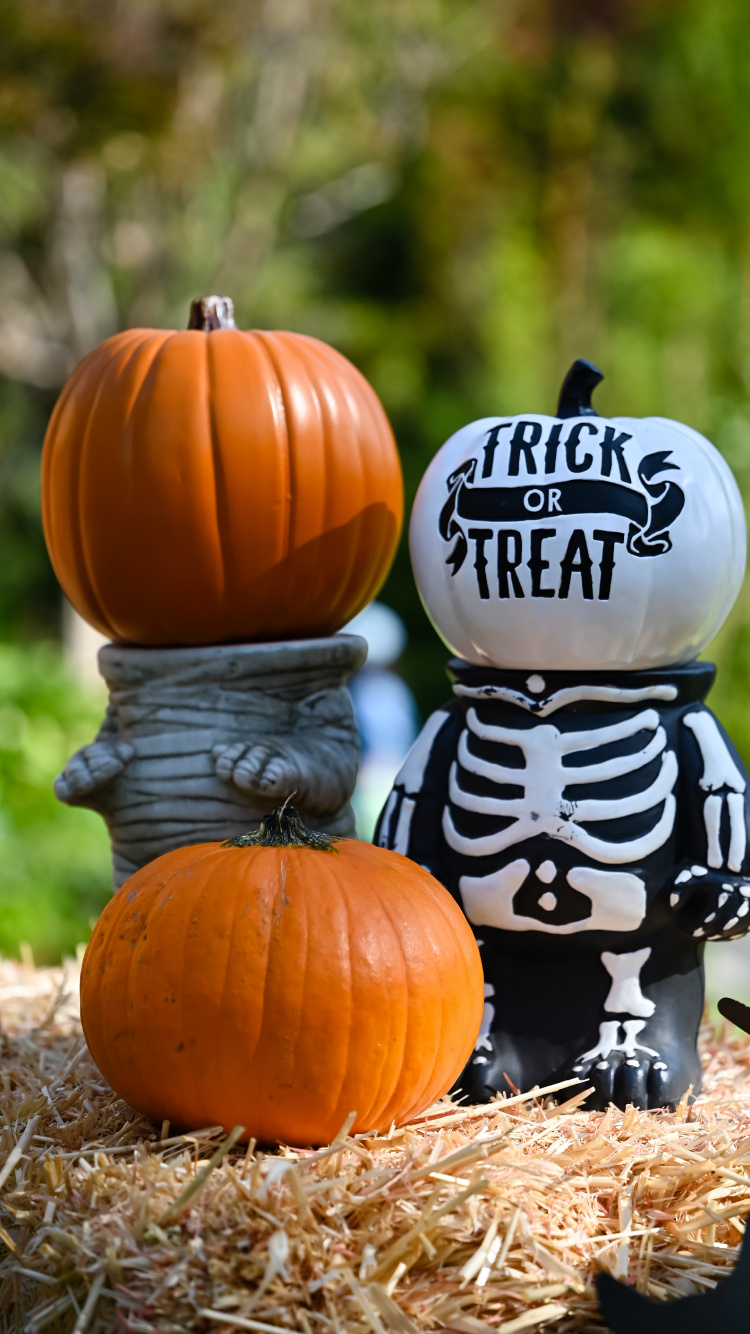 Halloween, Halloween Esthétique, Costume, Costume D'Halloween, Partie. Wallpaper in 750x1334 Resolution