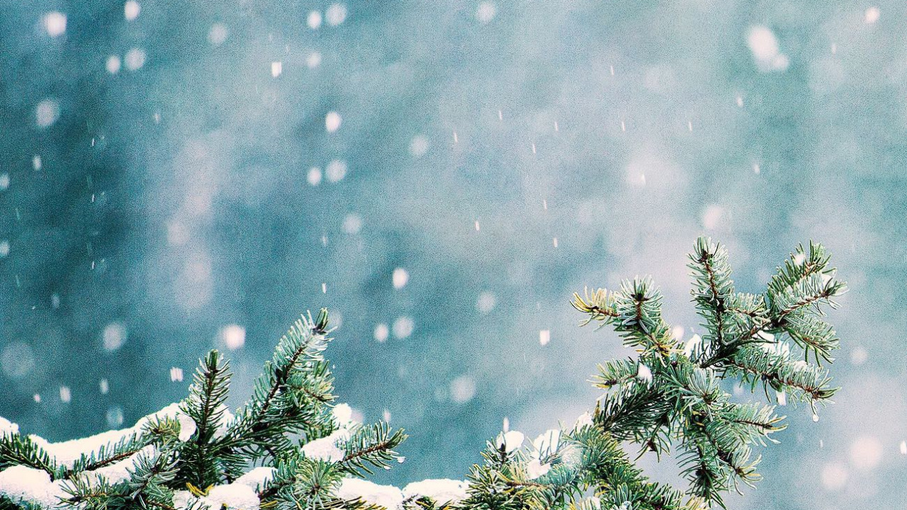 Nieve, Ambiente, Sucursal, Paisaje Natural, Ramita. Wallpaper in 1280x720 Resolution