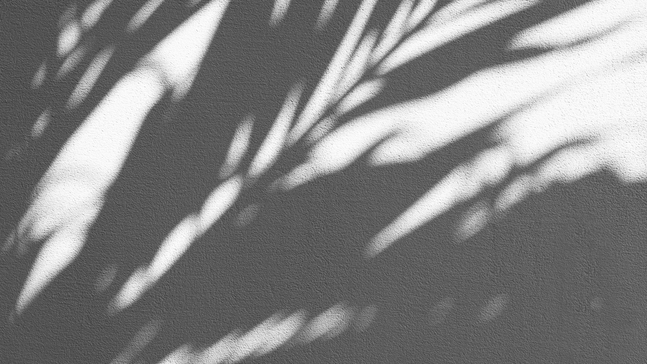 Black and White Leaf Print Textile. Wallpaper in 1280x720 Resolution