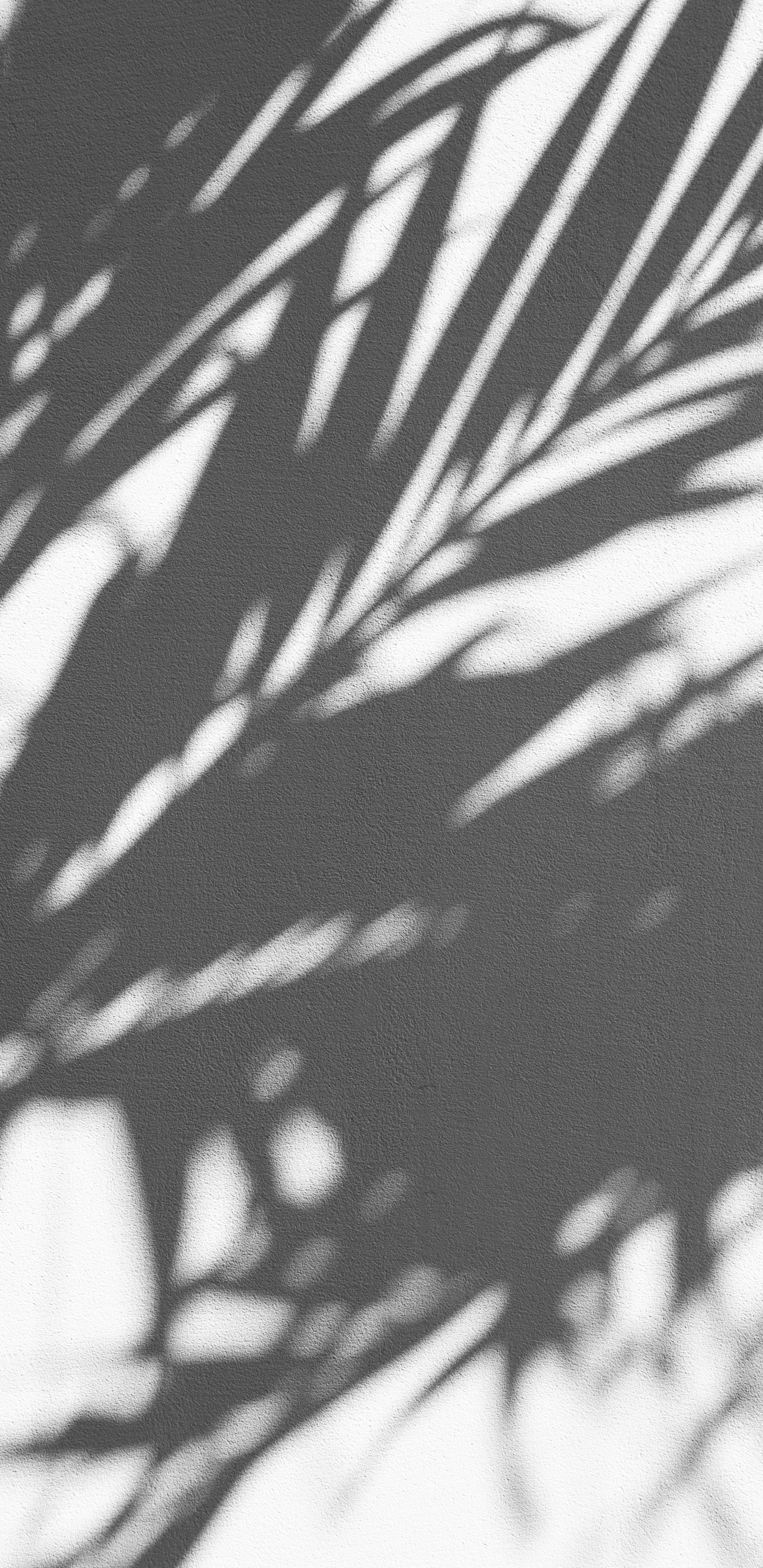 Textile Imprimé Feuilles Noir et Blanc. Wallpaper in 1440x2960 Resolution