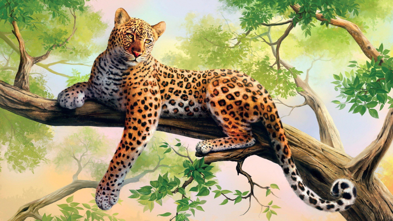 Leopard on Tree Branch During Daytime. Wallpaper in 1280x720 Resolution