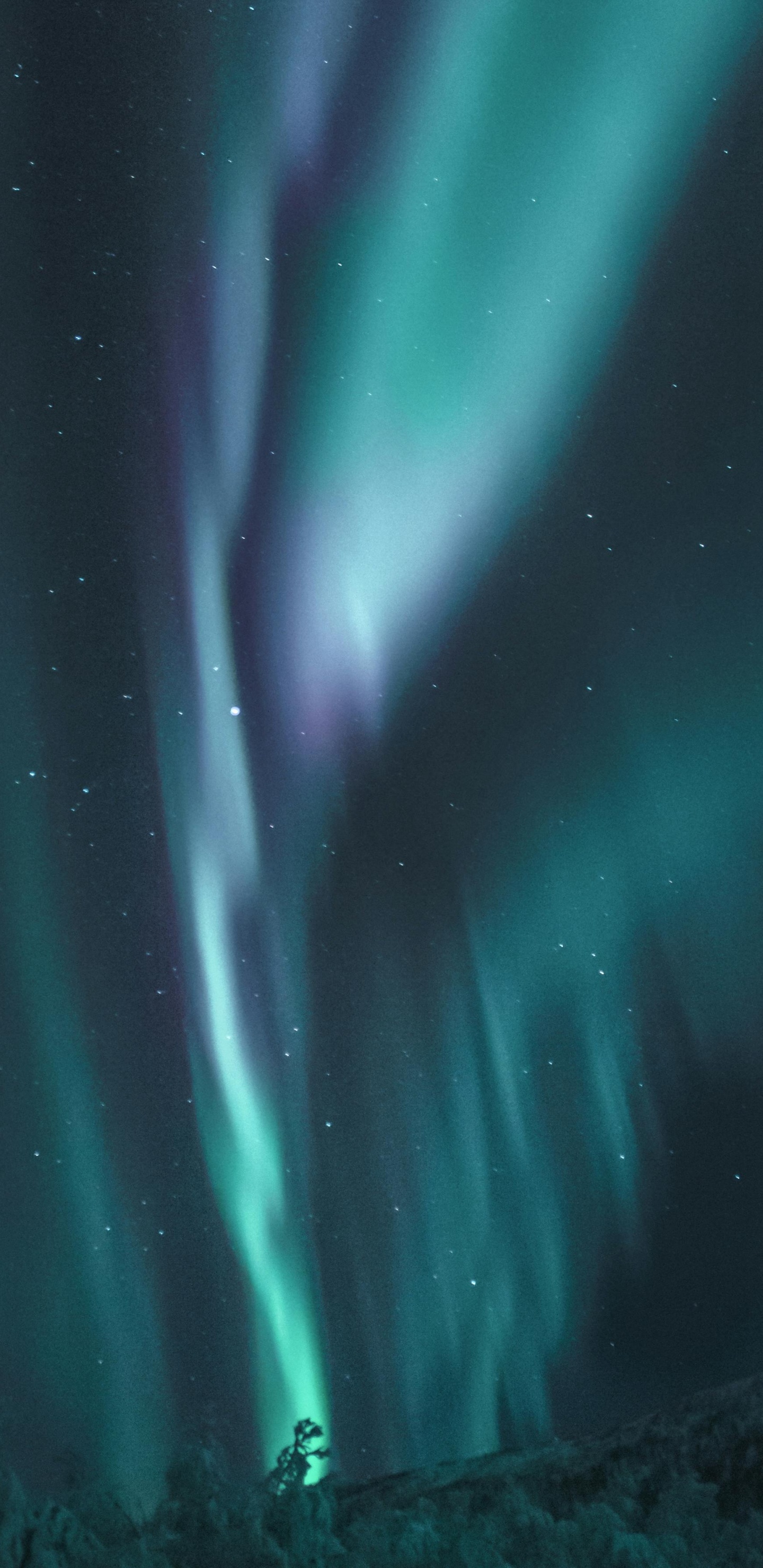 Blue Green Colour Night Sky, Aurora, Colored, Blue, Night Sky. Wallpaper in 1440x2960 Resolution