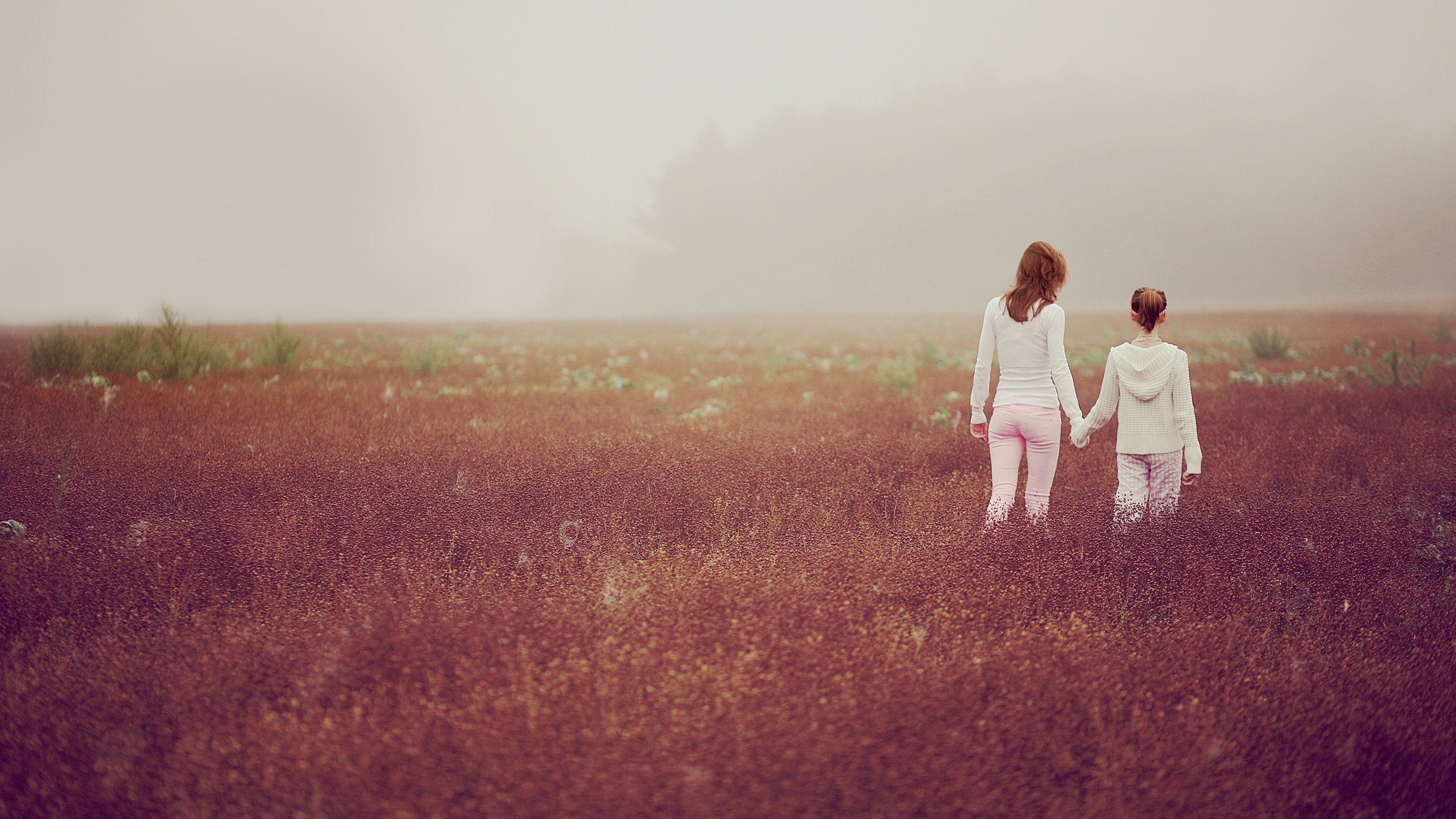 Homme et Femme Marchant Sur le Terrain D'herbe Rouge Pendant la Journée. Wallpaper in 2560x1440 Resolution