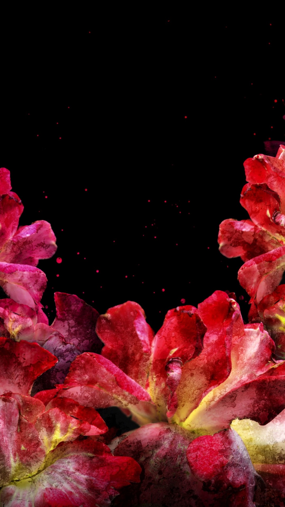 Nature, Wisgoon - Réseau Social, Pétale, Plante Terrestre, Pink. Wallpaper in 1080x1920 Resolution